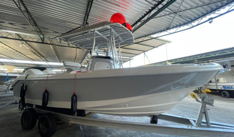 
								BOSTON WHALER DAUNTLESS 24 full									