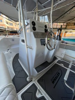 
										BOSTON WHALER DAUNTLESS 24 full									