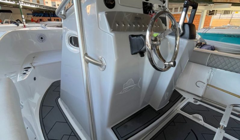 
								BOSTON WHALER DAUNTLESS 24 full									