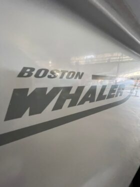 BOSTON WHALER DAUNTLESS 24