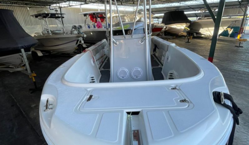 
								BOSTON WHALER DAUNTLESS 24 full									