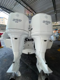 
										BOSTON WHALER DAUNTLESS 24 full									