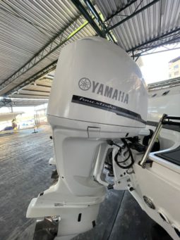 
										BOSTON WHALER DAUNTLESS 24 full									