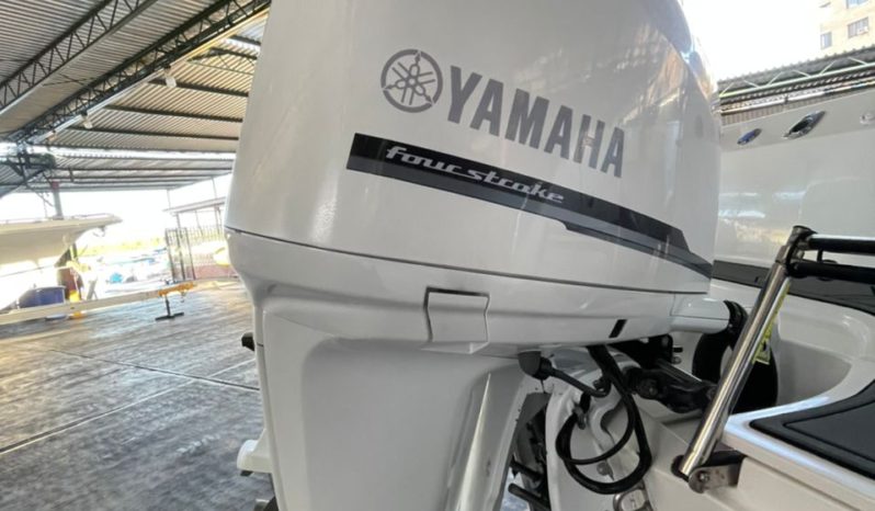 
								BOSTON WHALER DAUNTLESS 24 full									