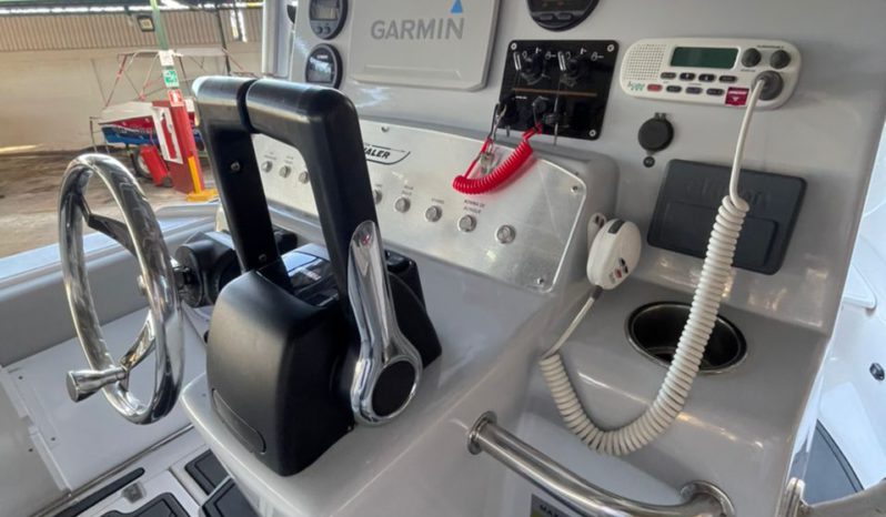 
								BOSTON WHALER DAUNTLESS 24 full									