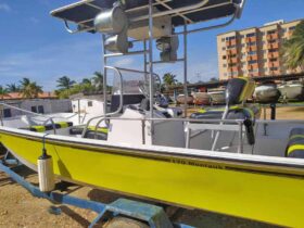 BOSTON WHALER MONTAUK 17