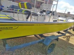 
										BOSTON WHALER MONTAUK 17 full									