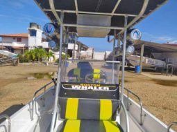 
										BOSTON WHALER MONTAUK 17 full									