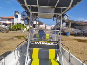 BOSTON WHALER MONTAUK 17