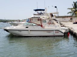 BOSTON WHALER OUTRAGE 280, VENTA DE BOSTON WHALER OUTRAGE 280, BOSTON WHALER OUTRAGE 280 DE CARACAS