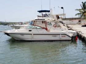 BOSTON WHALER OUTRAGE 280