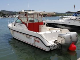 BOSTON WHALER OUTRAGE 280