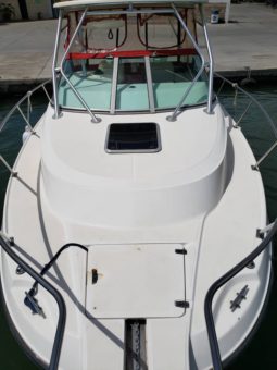 
										BOSTON WHALER OUTRAGE 280 full									