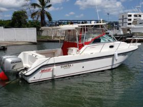 BOSTON WHALER OUTRAGE 280