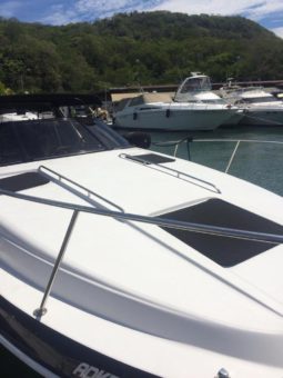 
										CHAPARRAL SIGNATURE 31 full									