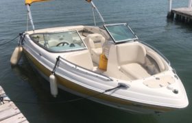 CHAPARRAL SSI 21