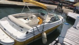 
										CHAPARRAL SSI 21 full									