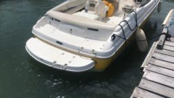 
										CHAPARRAL SSI 21 full									