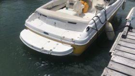 CHAPARRAL SSI 21