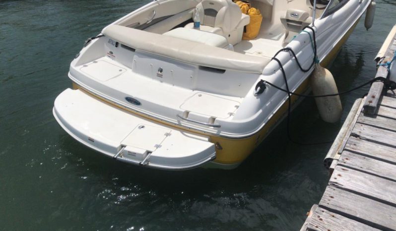 
								CHAPARRAL SSI 21 full									