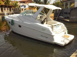 
										CHRIS CRAFT 35 full									