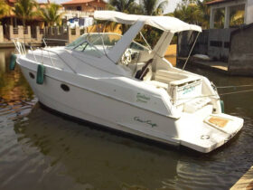 CHRIS CRAFT 35