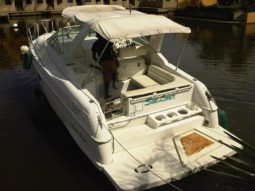 
										CHRIS CRAFT 35 full									