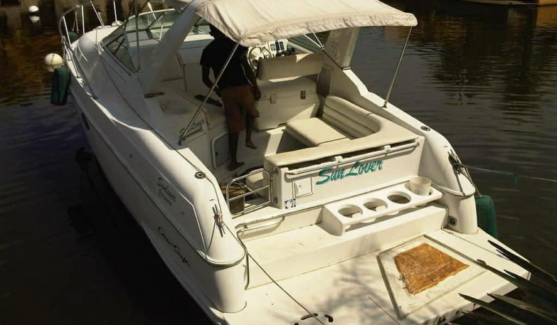 
								CHRIS CRAFT 35 full									