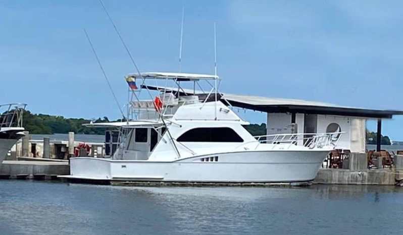 
								CHRIS CRAFT 42 full									