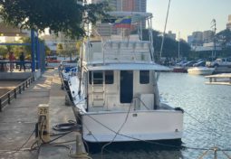 
										CHRIS CRAFT 42 full									