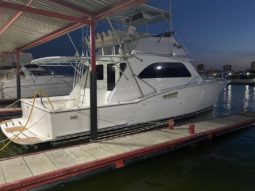 
										CHRIS CRAFT 42 full									