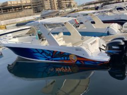 CORALINE 30 OPEN, VENTA DE CORALINE 30 OPEN, CORALINE 30 OPEN DE LECHERIA