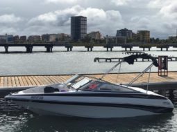 
										CROWNLINE 18 full									