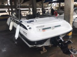 
										CROWNLINE 18 full									