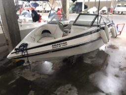 
										CROWNLINE 18 full									