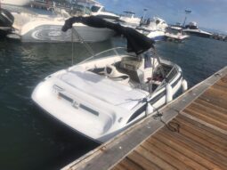 
										CROWNLINE 18 full									