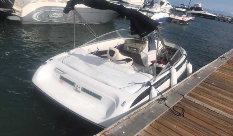 
								CROWNLINE 18 full									