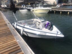 
										CROWNLINE 18 full									