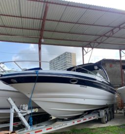 
										CROWNLINE LS 32 full									