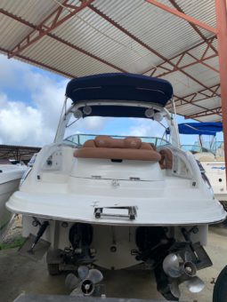 
										CROWNLINE LS 32 full									