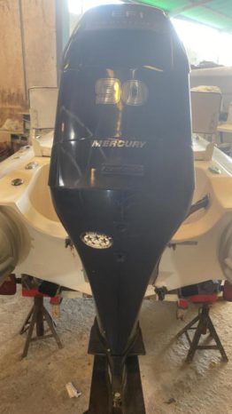 
								DINGHY AB 15 full									