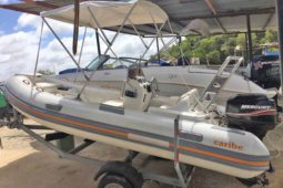 
										DINGHY CARIBE 16 full									