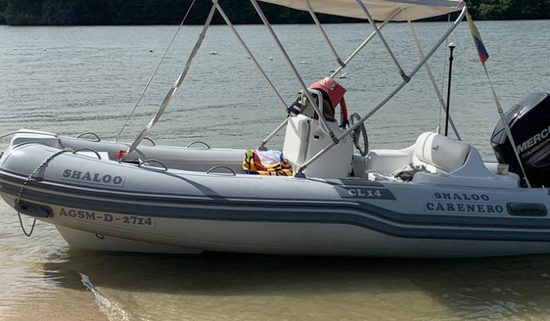 
								DINGHY CARIBE CL 14 full									