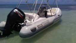 
										DINGHY CARIBE DL 15 full									