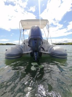 
										DINGHY CARIBE DL 15 full									