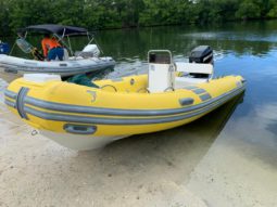 
										DINGHY CARIBE UB 15 full									