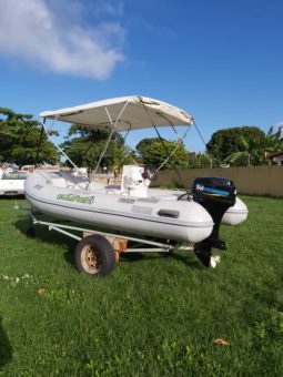 
										DINGHY CARIBE 14 full									