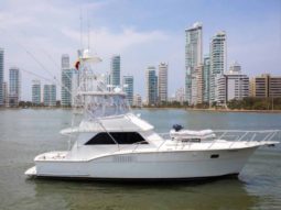 
										HATTERAS CONVERTIBLE SPORT FISHERMAN 42 full									