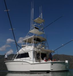 HATTERAS 45, VENTA DE HATTERAS 45, HATTERAS 45 DE LA GUAIRA 