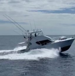 
										HATTERAS 50 full									